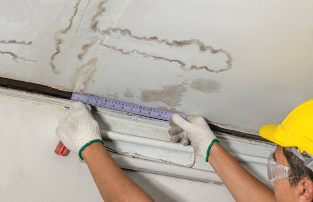 Reliable Sewage Cleanup contractor in Roseville, MN by Water Damage Irwin